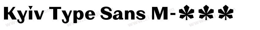 Kyiv Type Sans M字体转换